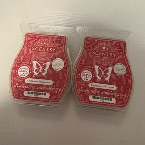 Scentsy Cinnamon Pinecones